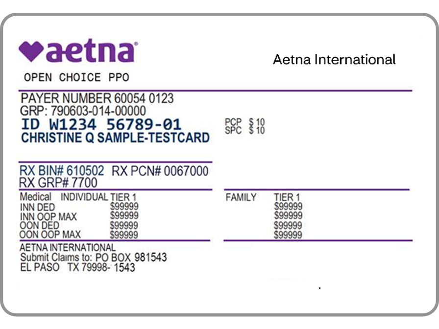 Aetna International (Americas) ID card sample, showing plan details and member names.